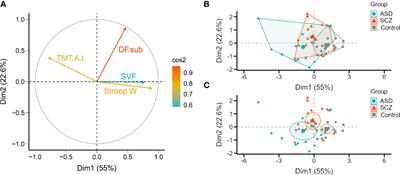 Executive function in schizophrenia and autism in adults shares common components separating high and low performance groups